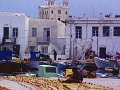 Paros81-73