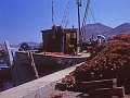 paros81-055