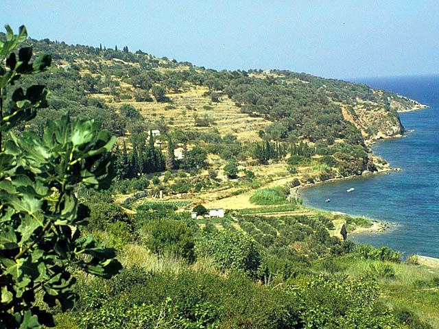 Samos79-004.jpg