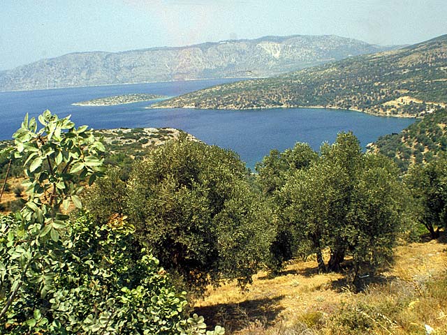 Samos79-026.jpg