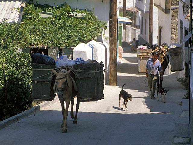 Samos79-059.jpg