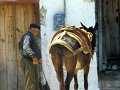 Samos79-049