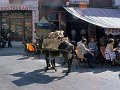 Samos79-053