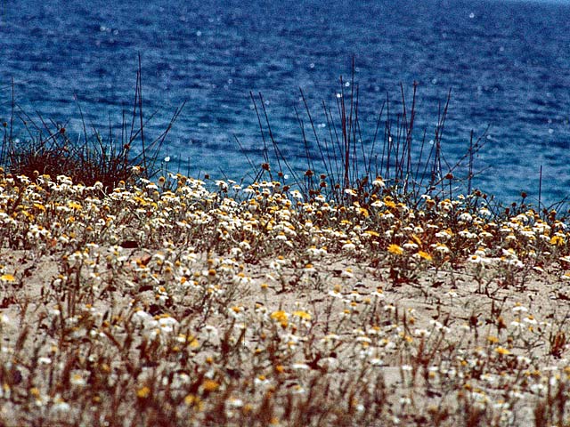 Skiathos78-040.jpg