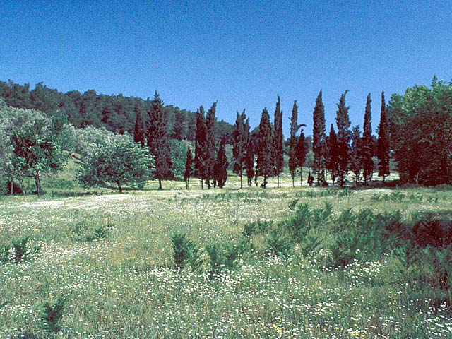 Skiathos78-110.jpg
