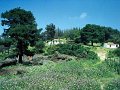 Skiathos78-024
