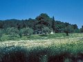 Skiathos78-111