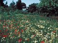 Skiathos78-126