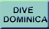 Dive Dominica