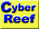 CYBER REEF
