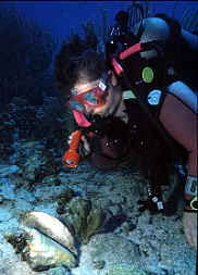 Christine looking at a Conch