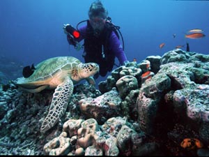 Christine and a Turtle