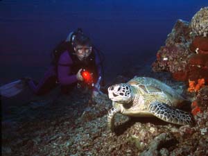 Christine and a Turtle