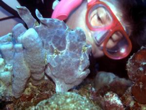 Christine and a grey Frogfish